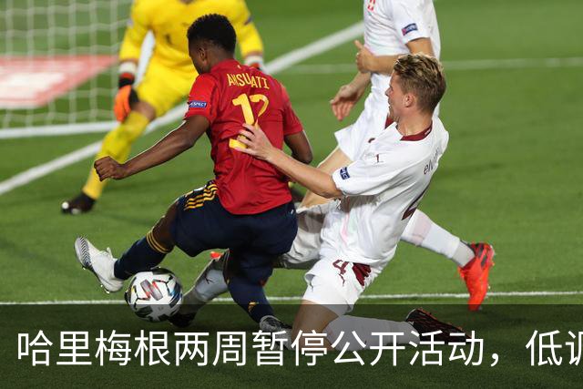 哈里梅根两周暂停公开活动，低调避风头，不抢查尔斯国王风头