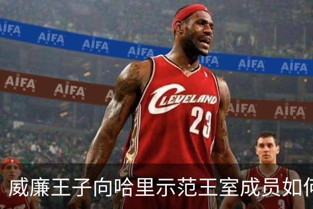 威廉王子向哈里示范王室成员如何真正接受电视采访，差距一目了然