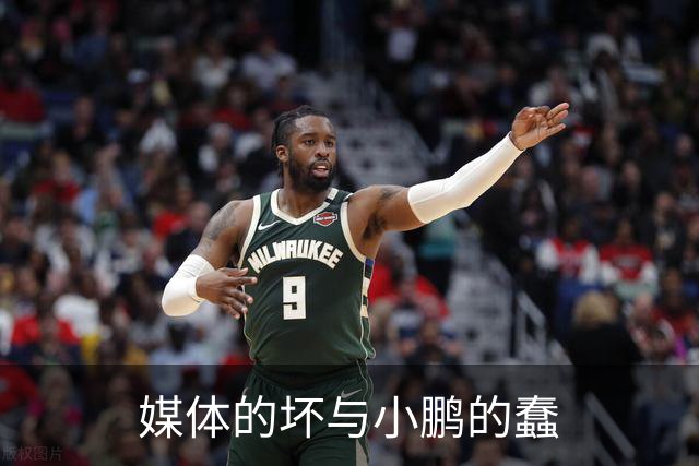 媒体的坏与小鹏的蠢