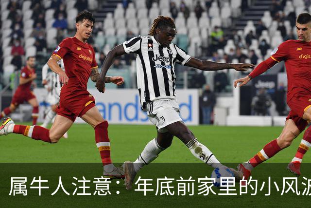 属牛人注意：年底前家里的小风波，其实是亲家关系升温的好兆头