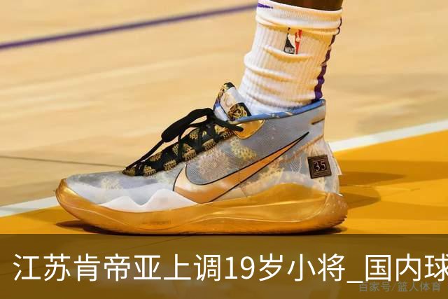 江苏肯帝亚上调19岁小将 国内球员注册达16人