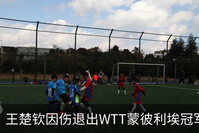 王楚钦因伤退出WTT蒙彼利埃冠军赛，韩国球员安宰贤递补