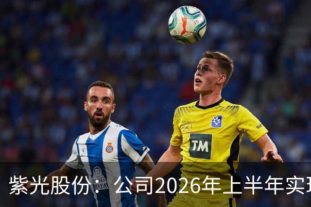 紫光股份：公司2026年上半年实现营业收入635.16亿，同比增长33.93%