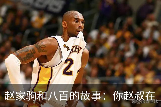 赵家驹和八百的故事：你赵叔在 你爸也在
