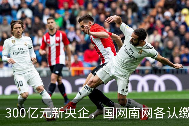 300亿元新央企，国网/南网各认缴37.5亿元